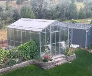 Exterior view of a B&T Manufacturing steel-framed greenhouse set up in a backyard with lots of plants growing inside