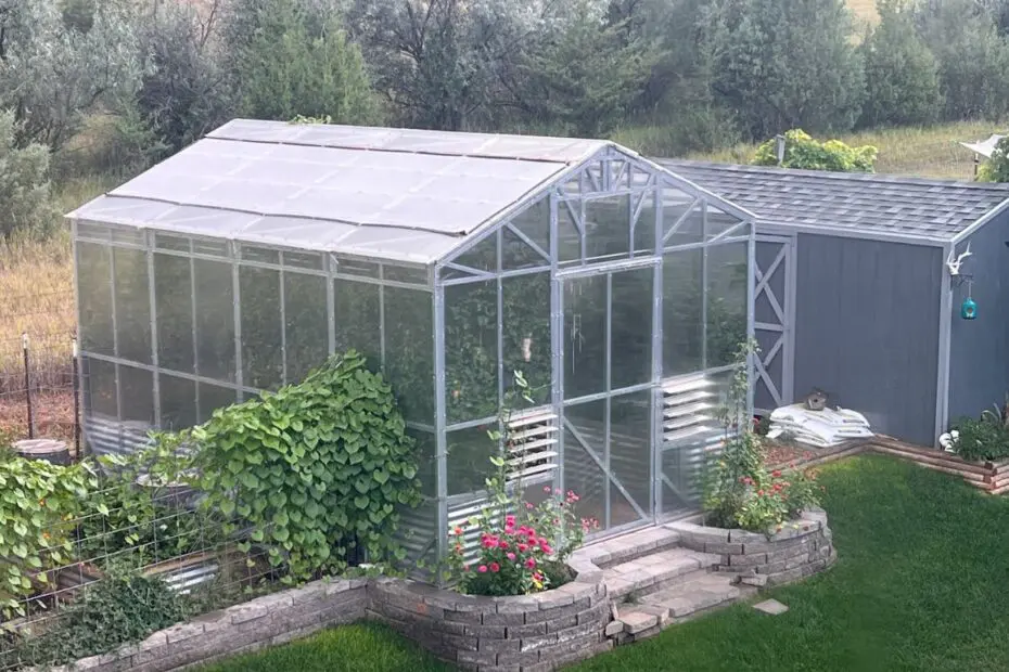 Exterior view of a B&T Manufacturing steel-framed greenhouse set up in a backyard with lots of plants growing inside
