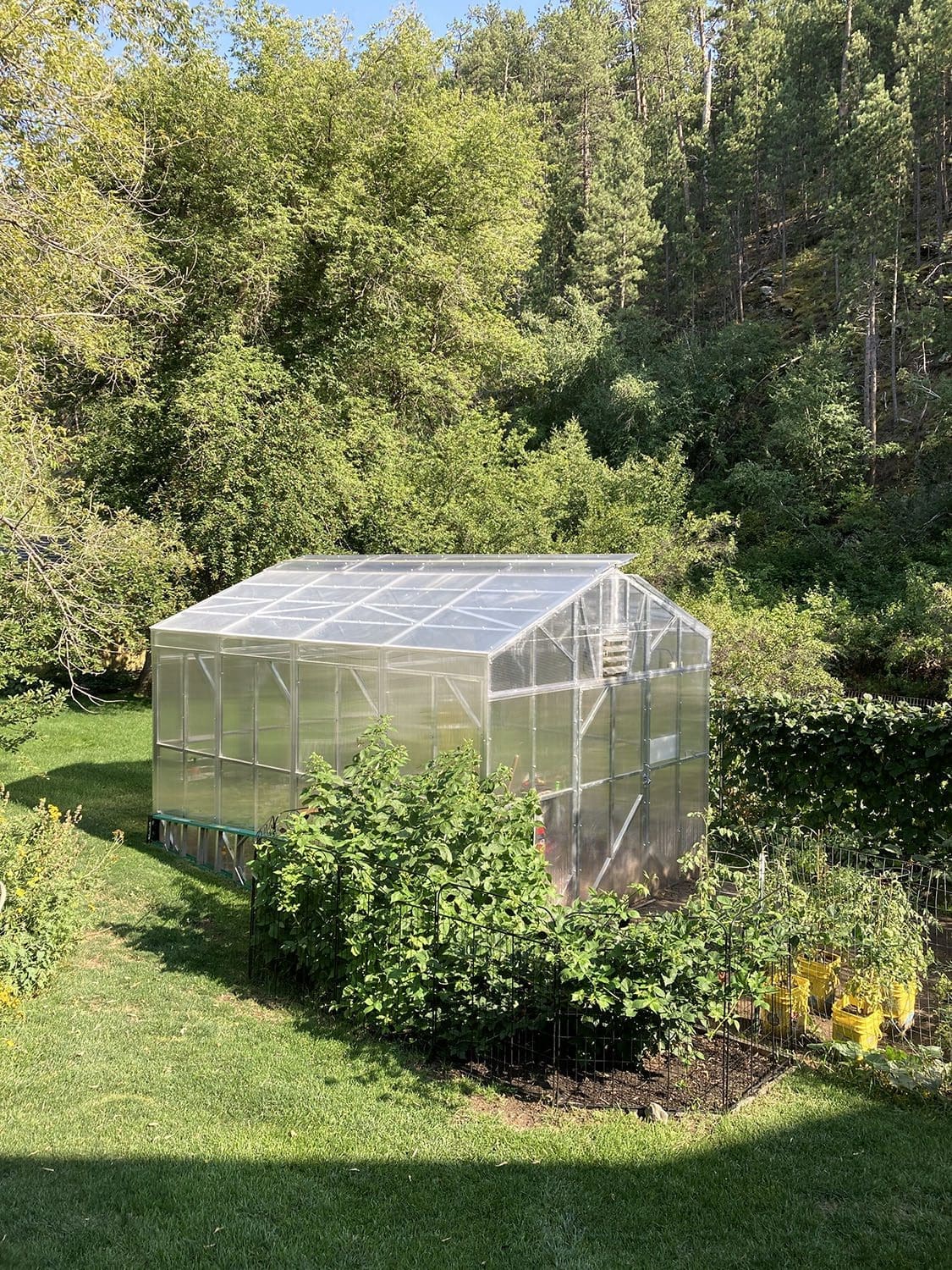 View of the greenhouse