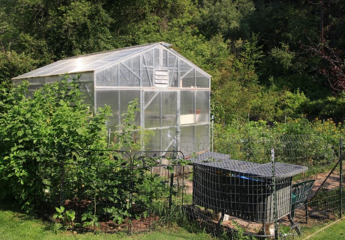 Rear view of set up steel-framed greenhouse from B&T Manufacturing