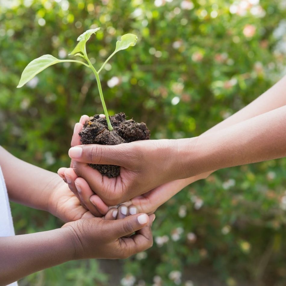 A woman plant a flower with a child in the garden